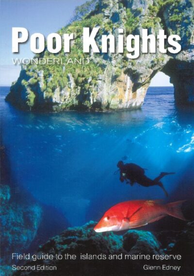 POOR KNIGHTS WONDERLAND