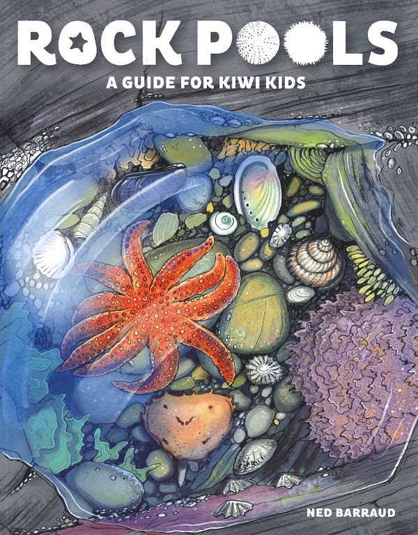 ROCK POOLS