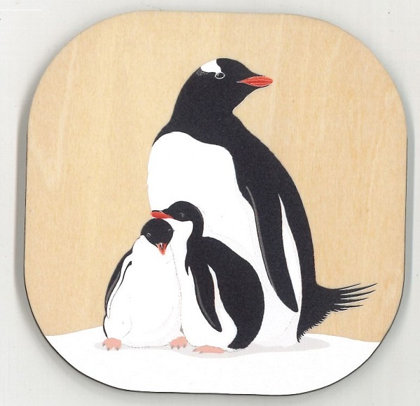 COASTER - GENTOO PENGUIN