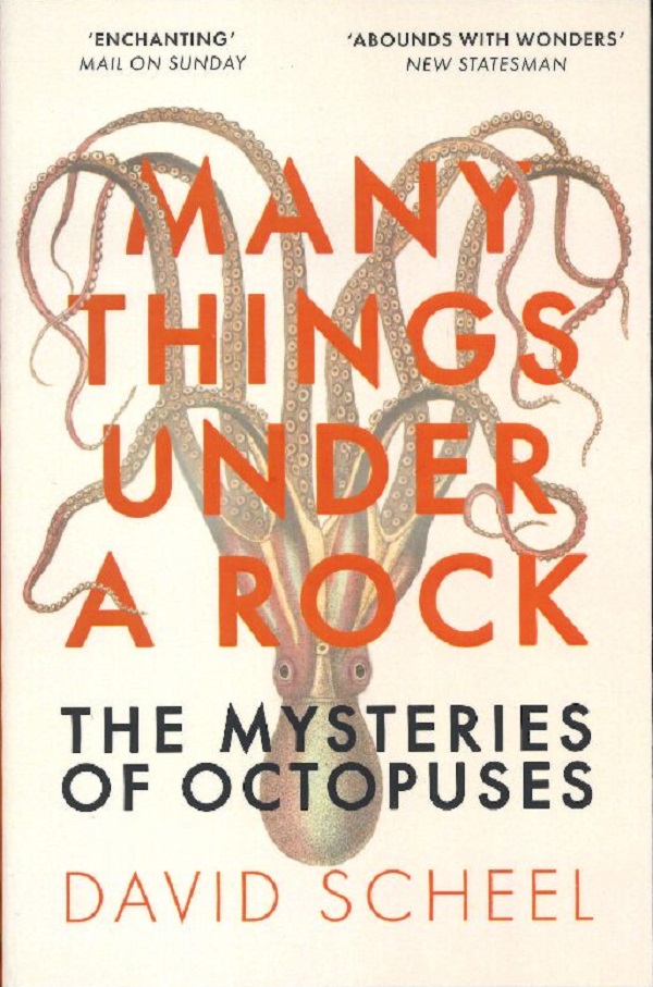 MANY THINGS UNDER A ROCK