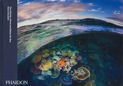 TWO WORLDS: ABOVE AND BELOW THE SEA