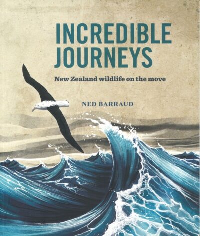 INCREDIBLE JOURNEYS