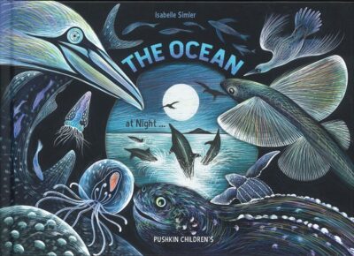 OCEAN AT NIGHT