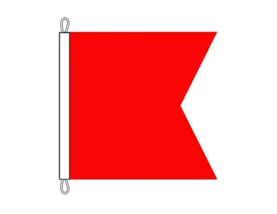 BRAVO FLAG